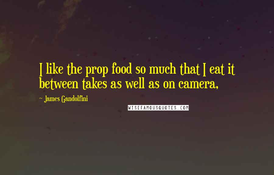 James Gandolfini Quotes: I like the prop food so much that I eat it between takes as well as on camera,