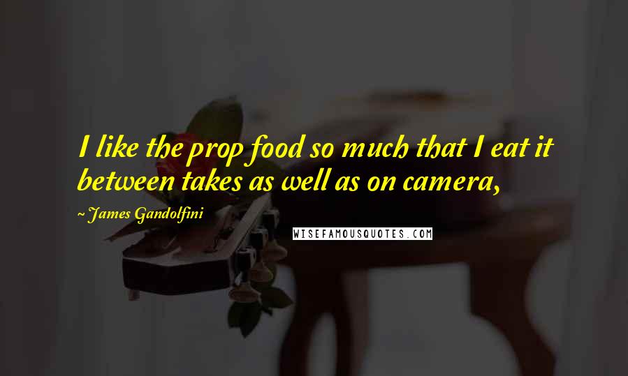 James Gandolfini Quotes: I like the prop food so much that I eat it between takes as well as on camera,