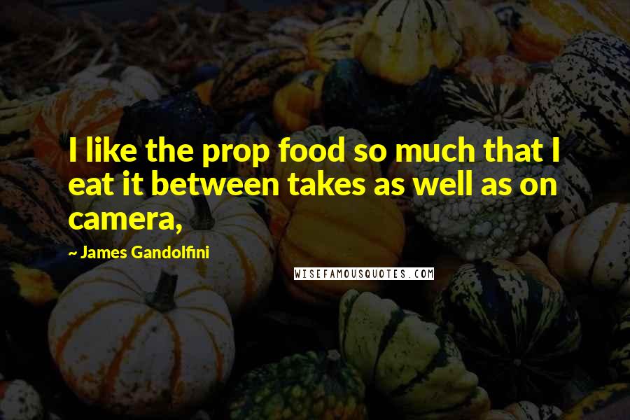 James Gandolfini Quotes: I like the prop food so much that I eat it between takes as well as on camera,