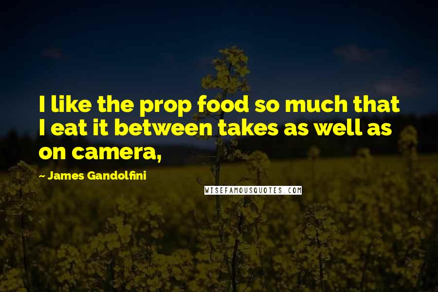 James Gandolfini Quotes: I like the prop food so much that I eat it between takes as well as on camera,