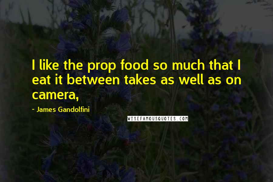 James Gandolfini Quotes: I like the prop food so much that I eat it between takes as well as on camera,