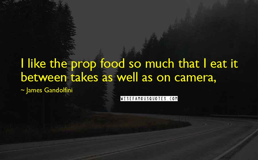 James Gandolfini Quotes: I like the prop food so much that I eat it between takes as well as on camera,