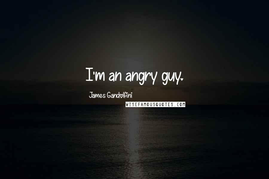 James Gandolfini Quotes: I'm an angry guy.