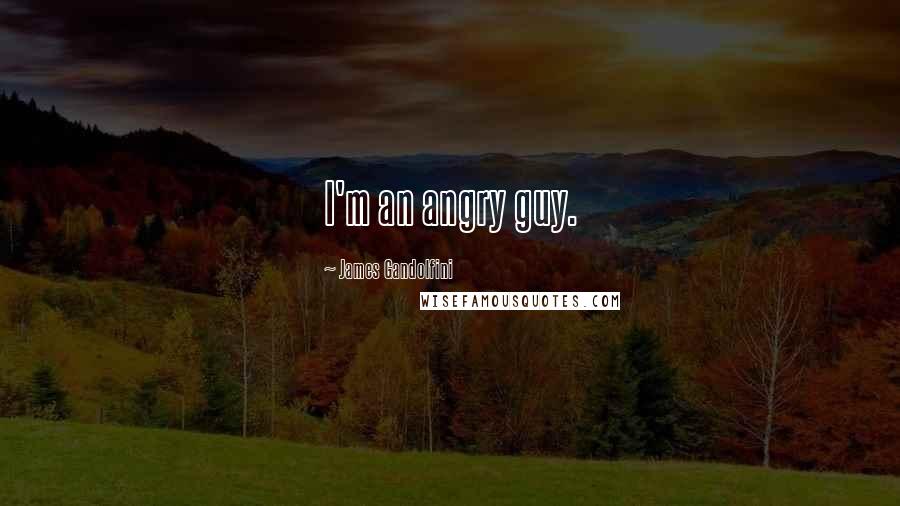 James Gandolfini Quotes: I'm an angry guy.