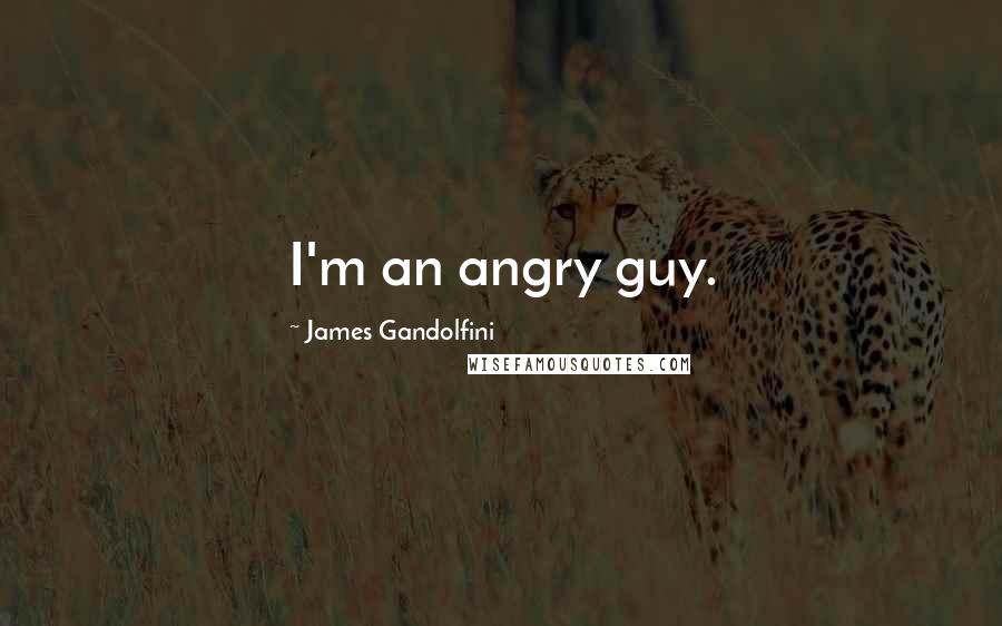 James Gandolfini Quotes: I'm an angry guy.