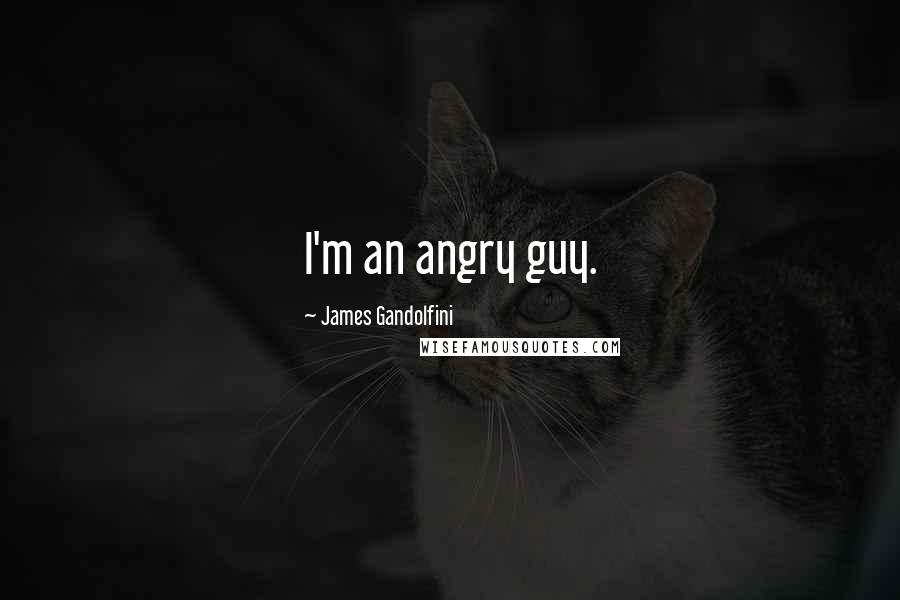 James Gandolfini Quotes: I'm an angry guy.