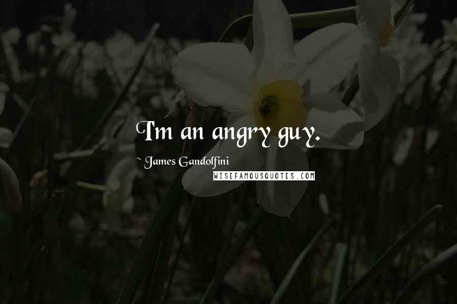 James Gandolfini Quotes: I'm an angry guy.