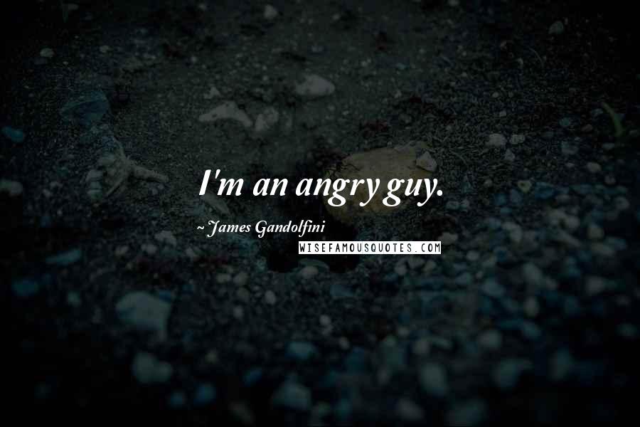 James Gandolfini Quotes: I'm an angry guy.