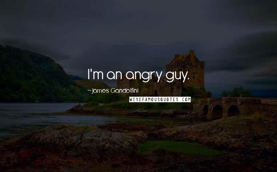 James Gandolfini Quotes: I'm an angry guy.