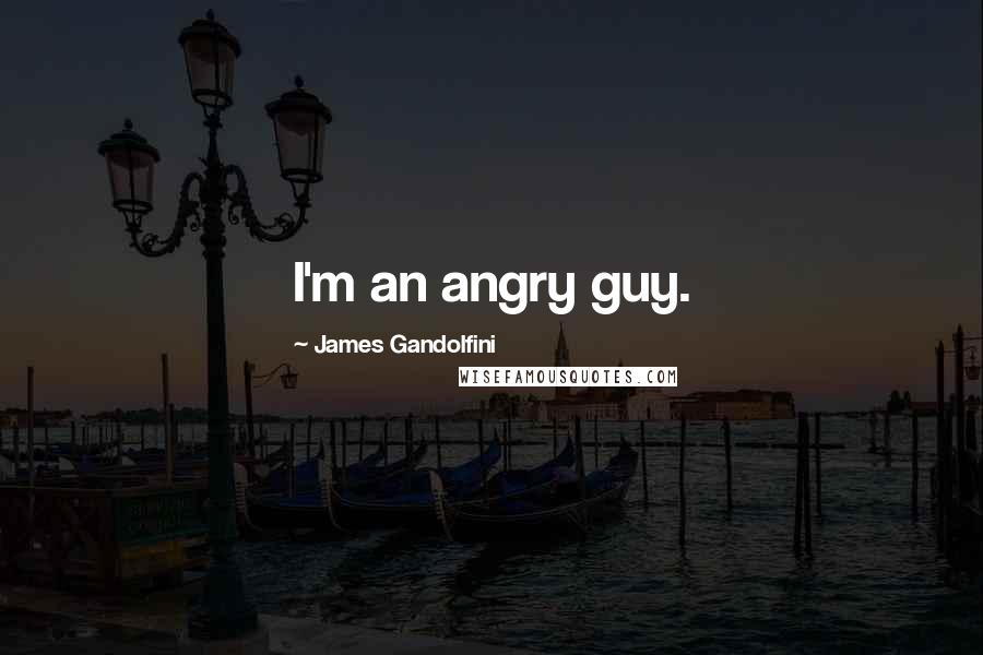 James Gandolfini Quotes: I'm an angry guy.