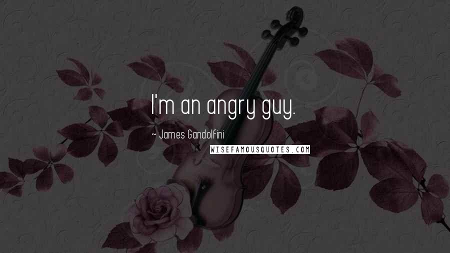 James Gandolfini Quotes: I'm an angry guy.