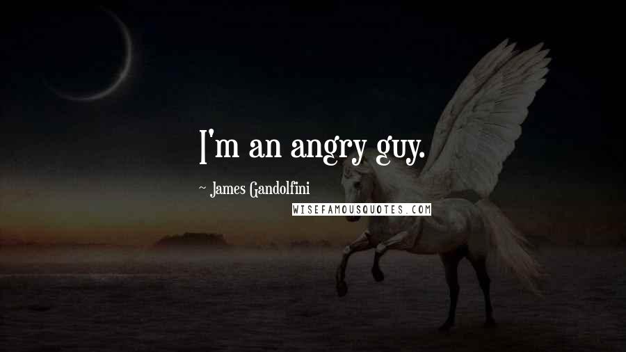 James Gandolfini Quotes: I'm an angry guy.