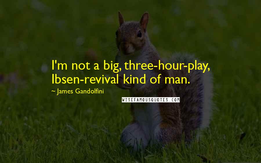 James Gandolfini Quotes: I'm not a big, three-hour-play, Ibsen-revival kind of man.