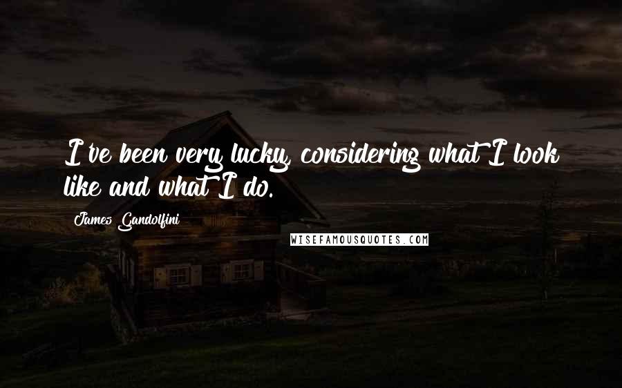 James Gandolfini Quotes: I've been very lucky, considering what I look like and what I do.