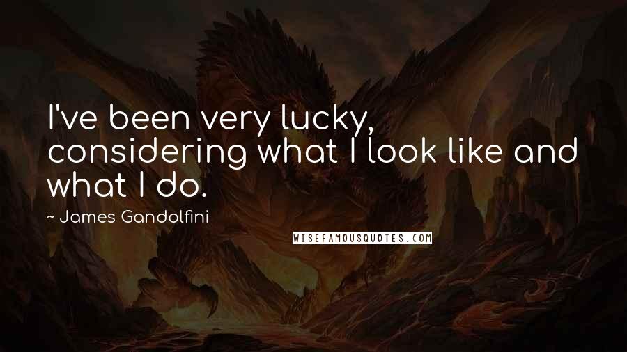 James Gandolfini Quotes: I've been very lucky, considering what I look like and what I do.