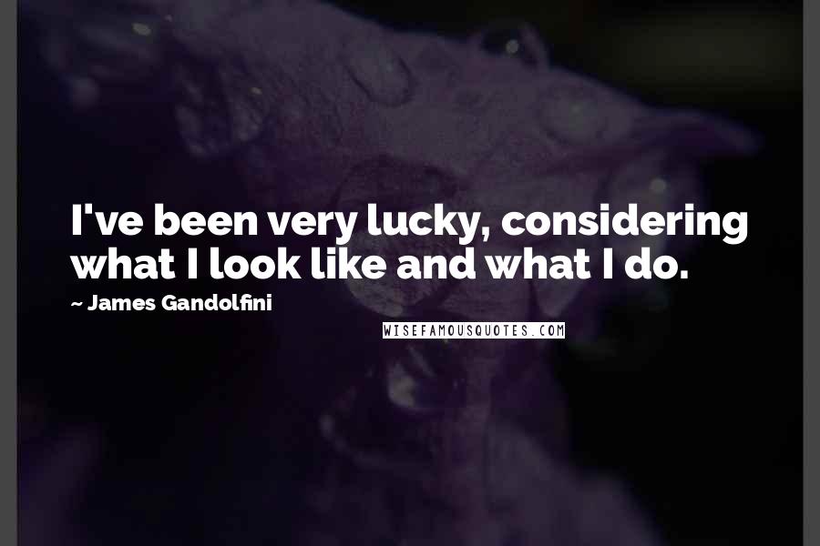 James Gandolfini Quotes: I've been very lucky, considering what I look like and what I do.