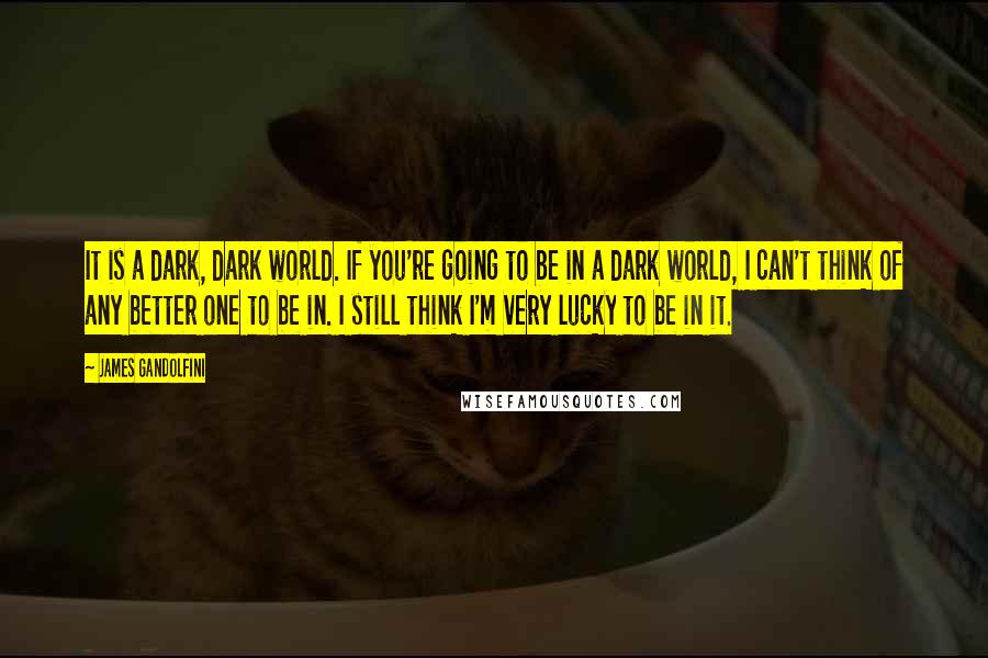 James Gandolfini Quotes: It is a dark, dark world. If you're going to be in a dark world, I can't think of any better one to be in. I still think I'm very lucky to be in it.