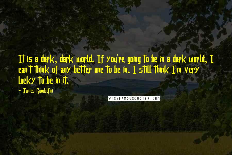 James Gandolfini Quotes: It is a dark, dark world. If you're going to be in a dark world, I can't think of any better one to be in. I still think I'm very lucky to be in it.