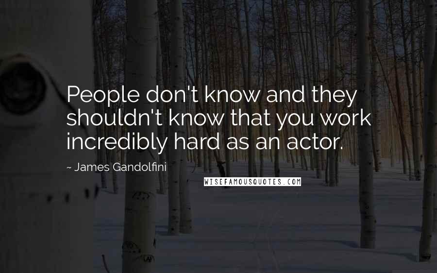 James Gandolfini Quotes: People don't know and they shouldn't know that you work incredibly hard as an actor.