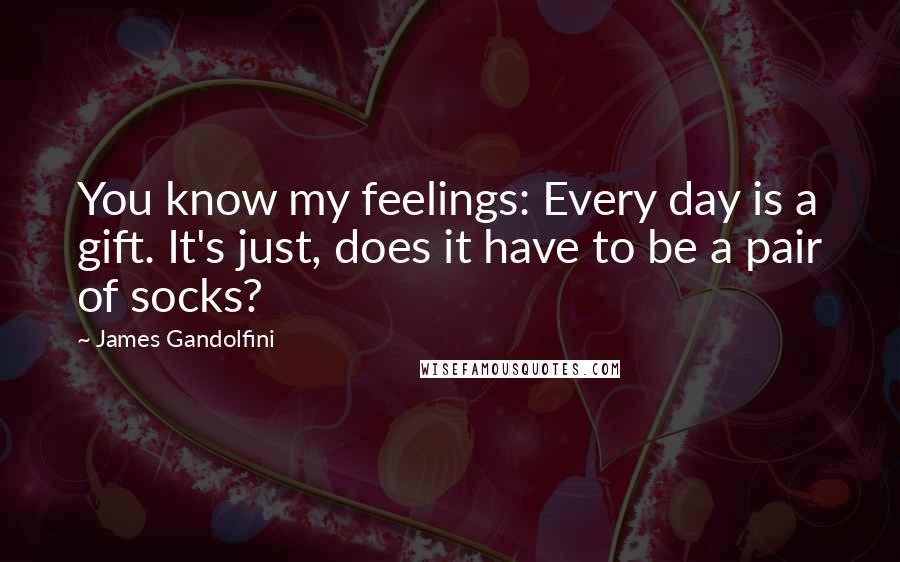 James Gandolfini Quotes: You know my feelings: Every day is a gift. It's just, does it have to be a pair of socks?