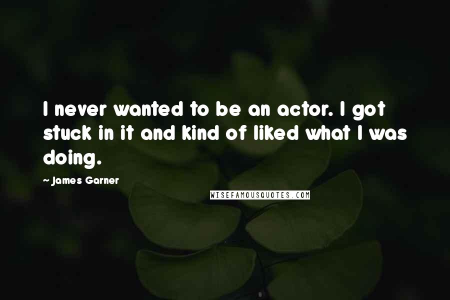 James Garner Quotes: I never wanted to be an actor. I got stuck in it and kind of liked what I was doing.