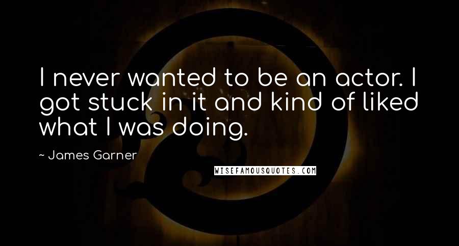 James Garner Quotes: I never wanted to be an actor. I got stuck in it and kind of liked what I was doing.