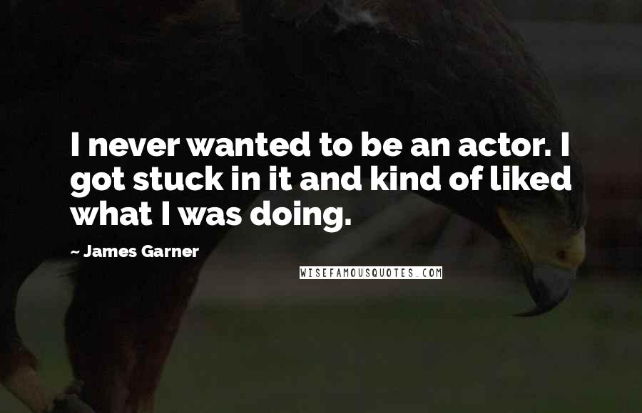 James Garner Quotes: I never wanted to be an actor. I got stuck in it and kind of liked what I was doing.