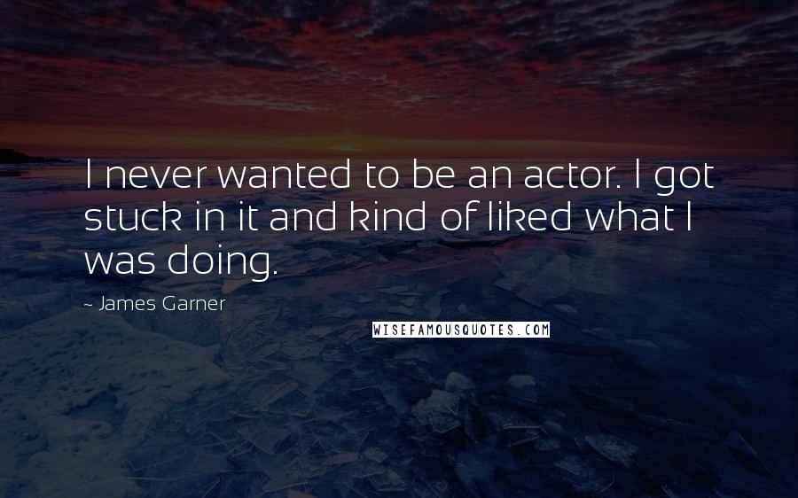 James Garner Quotes: I never wanted to be an actor. I got stuck in it and kind of liked what I was doing.