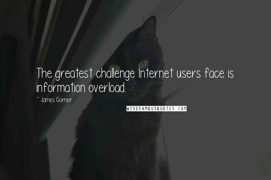 James Garner Quotes: The greatest challenge Internet users face is information overload.