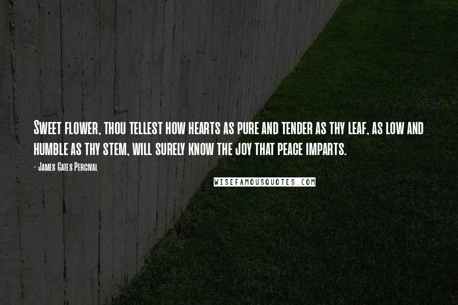 James Gates Percival Quotes: Sweet flower, thou tellest how hearts as pure and tender as thy leaf, as low and humble as thy stem, will surely know the joy that peace imparts.