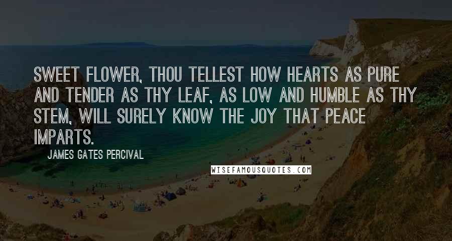 James Gates Percival Quotes: Sweet flower, thou tellest how hearts as pure and tender as thy leaf, as low and humble as thy stem, will surely know the joy that peace imparts.