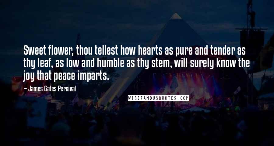 James Gates Percival Quotes: Sweet flower, thou tellest how hearts as pure and tender as thy leaf, as low and humble as thy stem, will surely know the joy that peace imparts.