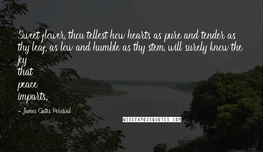 James Gates Percival Quotes: Sweet flower, thou tellest how hearts as pure and tender as thy leaf, as low and humble as thy stem, will surely know the joy that peace imparts.