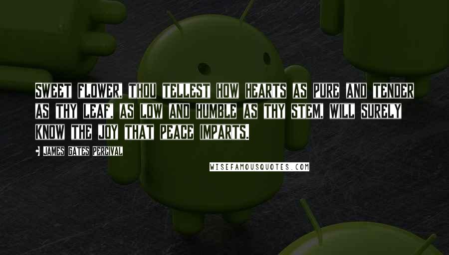 James Gates Percival Quotes: Sweet flower, thou tellest how hearts as pure and tender as thy leaf, as low and humble as thy stem, will surely know the joy that peace imparts.