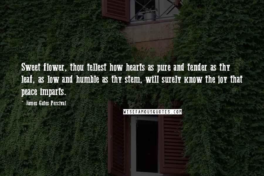 James Gates Percival Quotes: Sweet flower, thou tellest how hearts as pure and tender as thy leaf, as low and humble as thy stem, will surely know the joy that peace imparts.