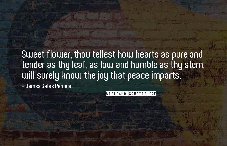 James Gates Percival Quotes: Sweet flower, thou tellest how hearts as pure and tender as thy leaf, as low and humble as thy stem, will surely know the joy that peace imparts.