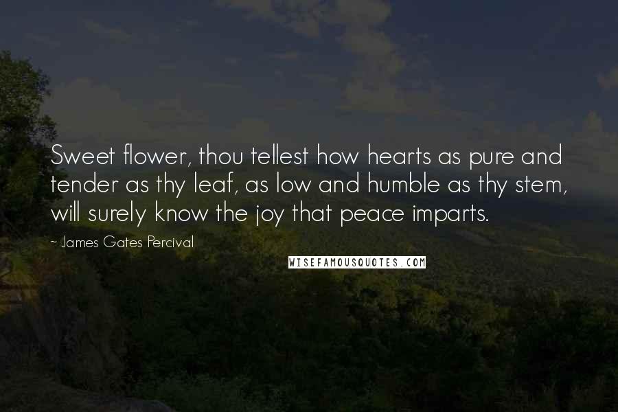 James Gates Percival Quotes: Sweet flower, thou tellest how hearts as pure and tender as thy leaf, as low and humble as thy stem, will surely know the joy that peace imparts.