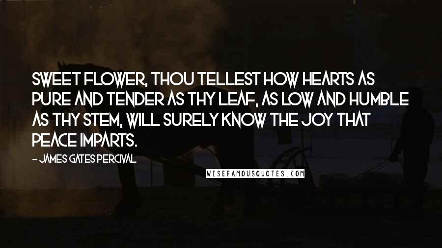 James Gates Percival Quotes: Sweet flower, thou tellest how hearts as pure and tender as thy leaf, as low and humble as thy stem, will surely know the joy that peace imparts.