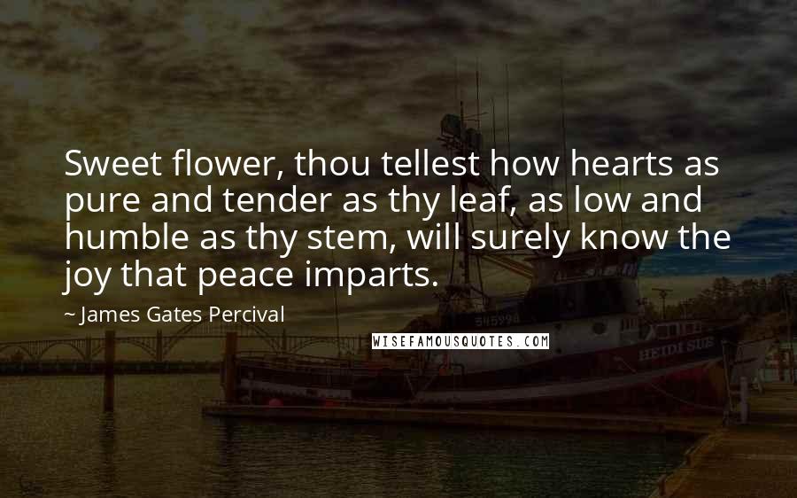 James Gates Percival Quotes: Sweet flower, thou tellest how hearts as pure and tender as thy leaf, as low and humble as thy stem, will surely know the joy that peace imparts.