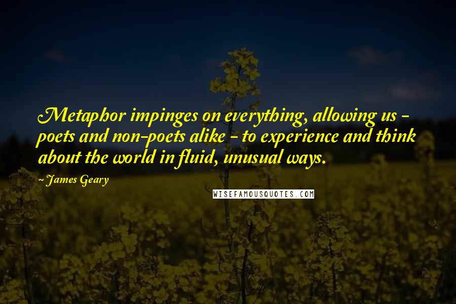 James Geary Quotes: Metaphor impinges on everything, allowing us - poets and non-poets alike - to experience and think about the world in fluid, unusual ways.