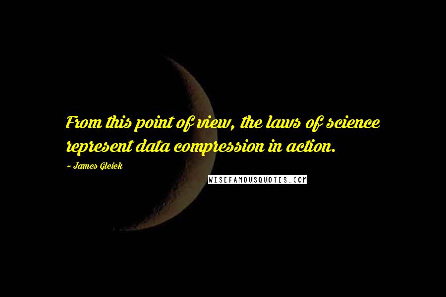 James Gleick Quotes: From this point of view, the laws of science represent data compression in action.