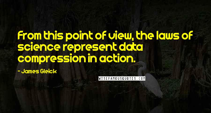 James Gleick Quotes: From this point of view, the laws of science represent data compression in action.