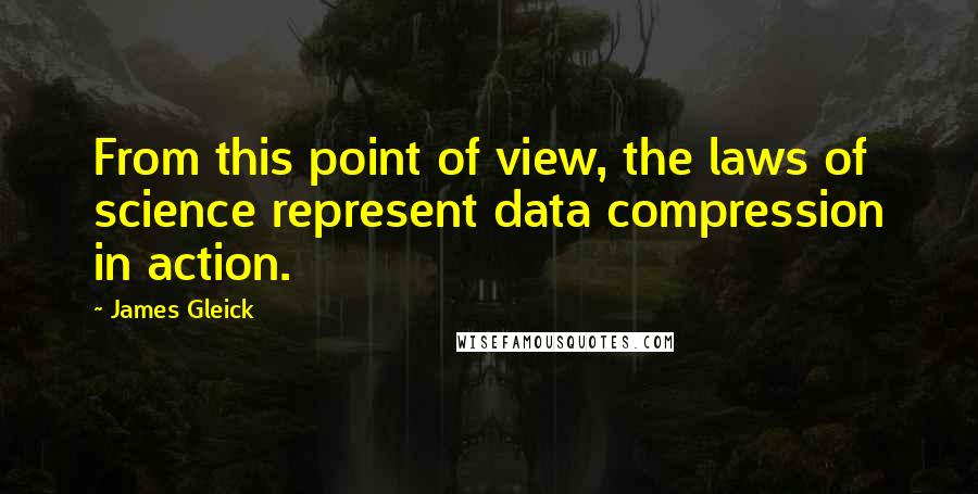 James Gleick Quotes: From this point of view, the laws of science represent data compression in action.