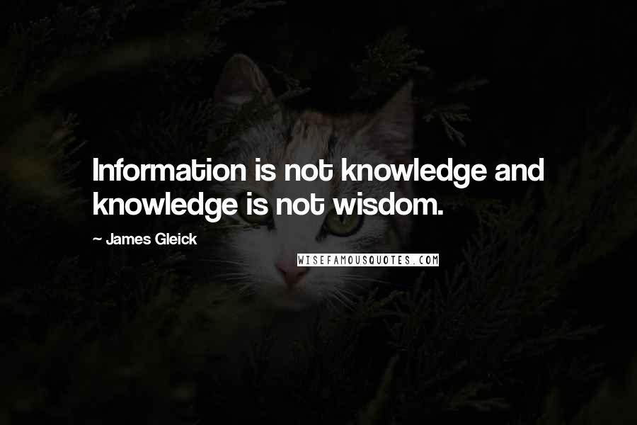 James Gleick Quotes: Information is not knowledge and knowledge is not wisdom.