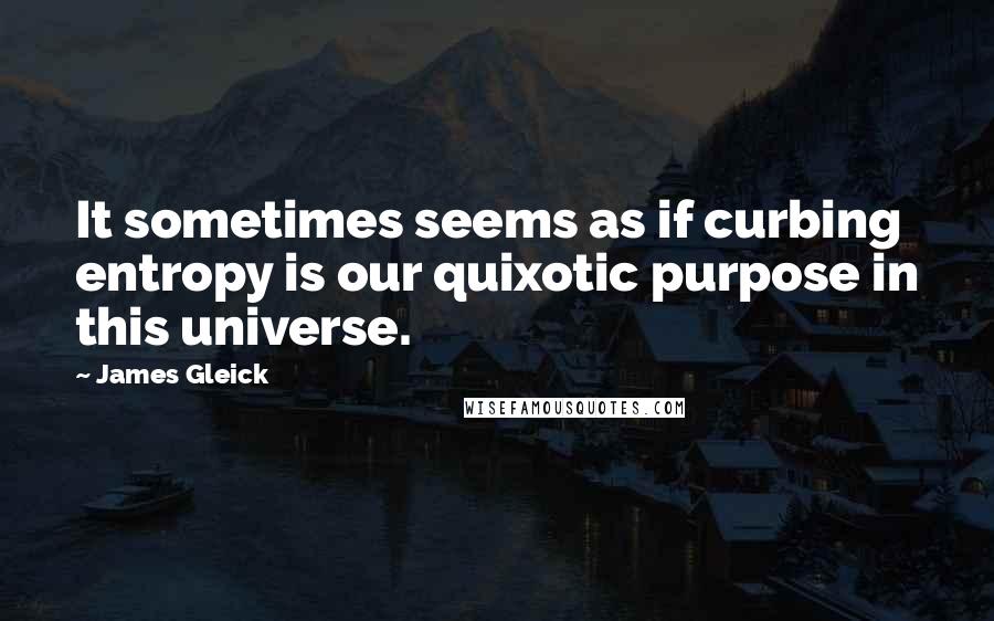 James Gleick Quotes: It sometimes seems as if curbing entropy is our quixotic purpose in this universe.
