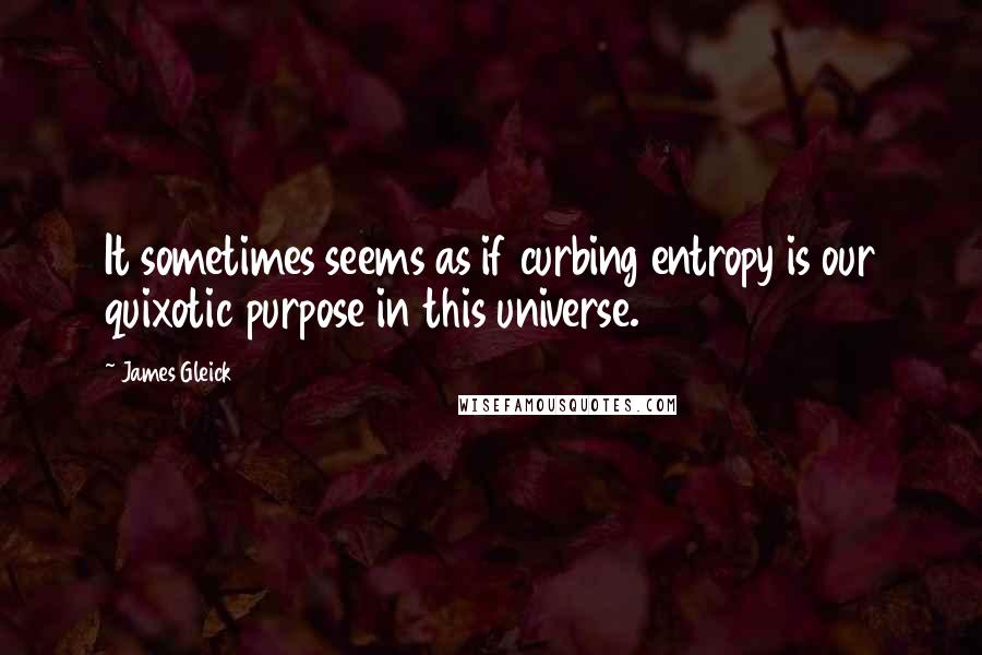 James Gleick Quotes: It sometimes seems as if curbing entropy is our quixotic purpose in this universe.