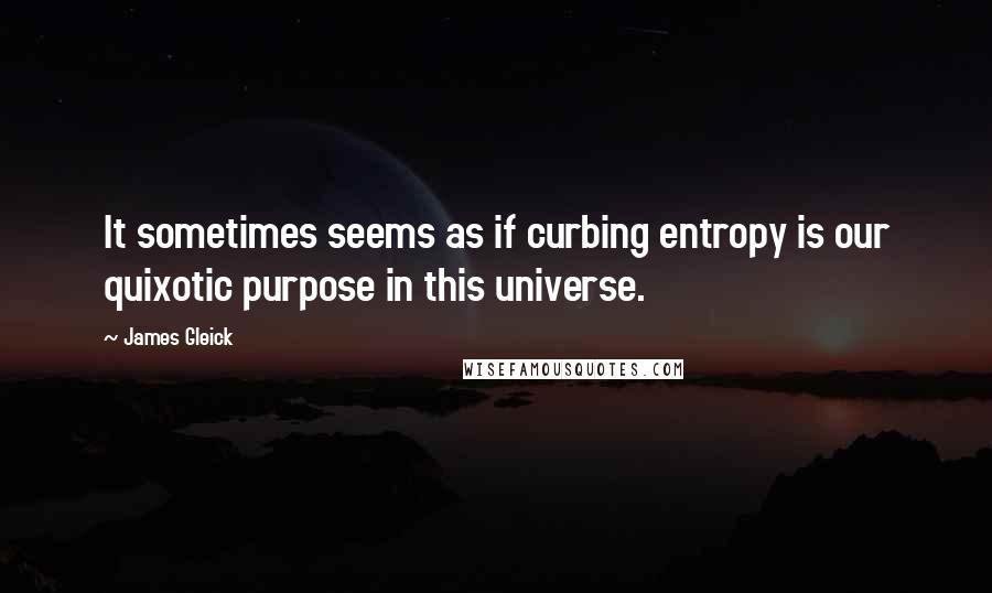 James Gleick Quotes: It sometimes seems as if curbing entropy is our quixotic purpose in this universe.
