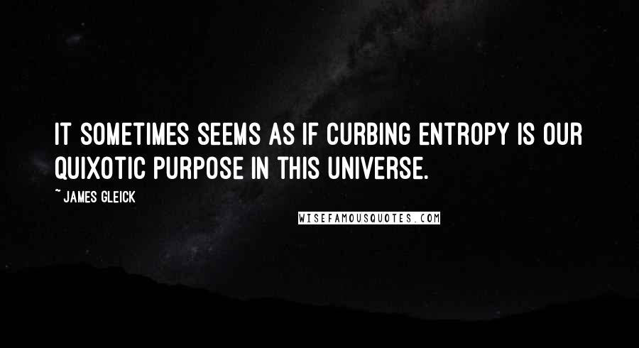 James Gleick Quotes: It sometimes seems as if curbing entropy is our quixotic purpose in this universe.
