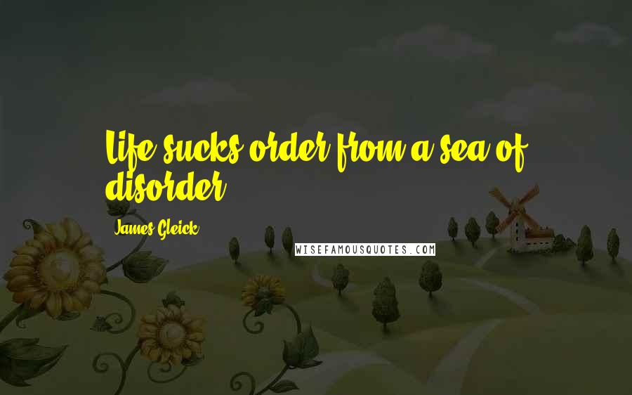 James Gleick Quotes: Life sucks order from a sea of disorder.