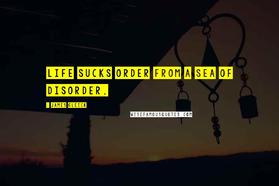 James Gleick Quotes: Life sucks order from a sea of disorder.